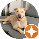 Thomas Huntley profile picture